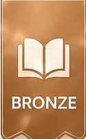 Bronze Level